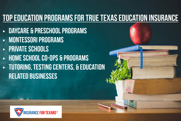 Top Education Programs For True Texas Education Insurance